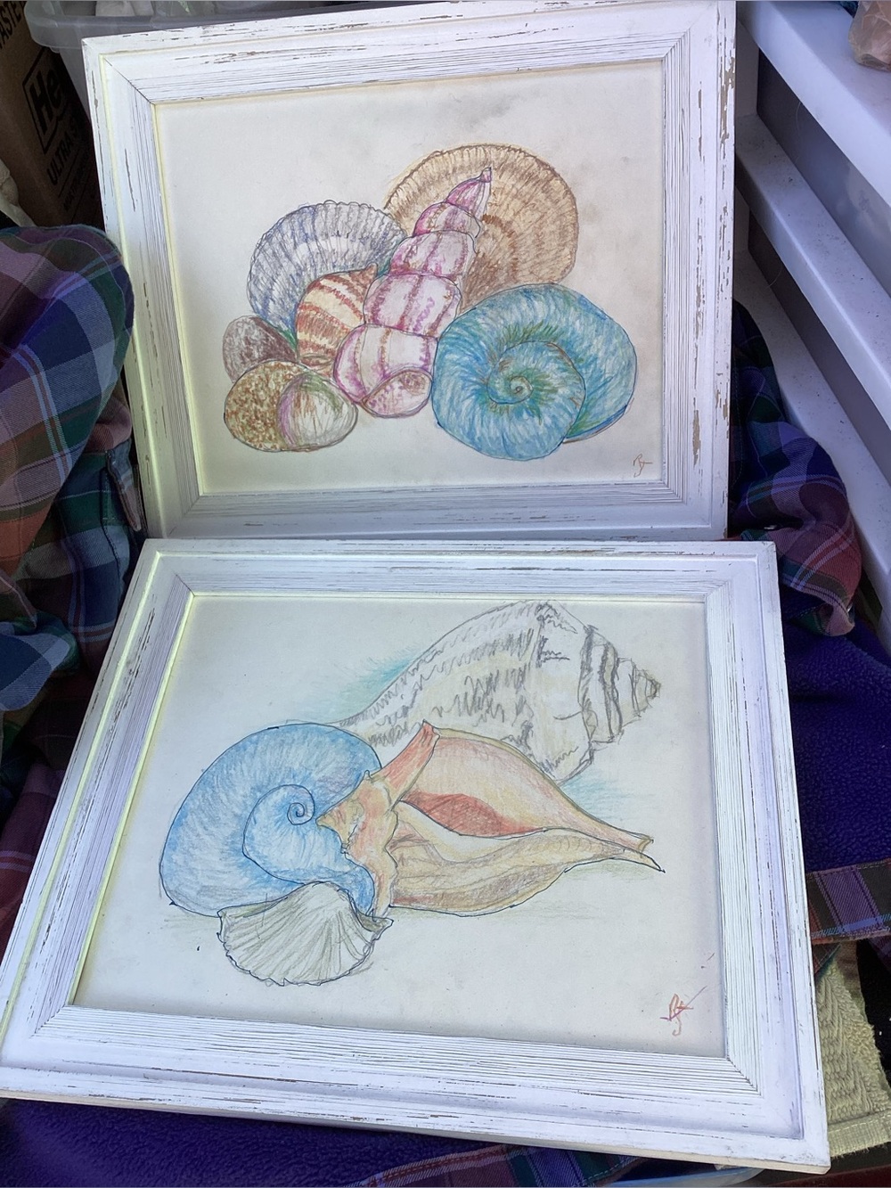 2 Artist Created Sea Shell Beach Themed Pastels framed Pair
